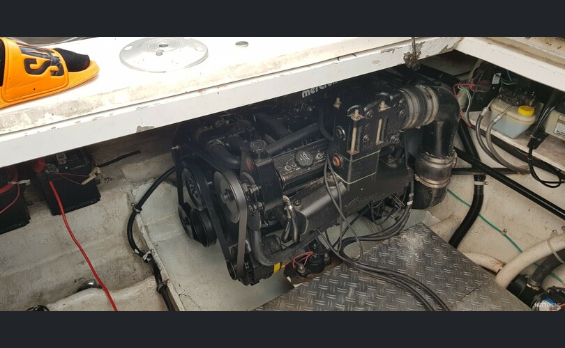 Bayliner 3055 Ciera-kuva-4